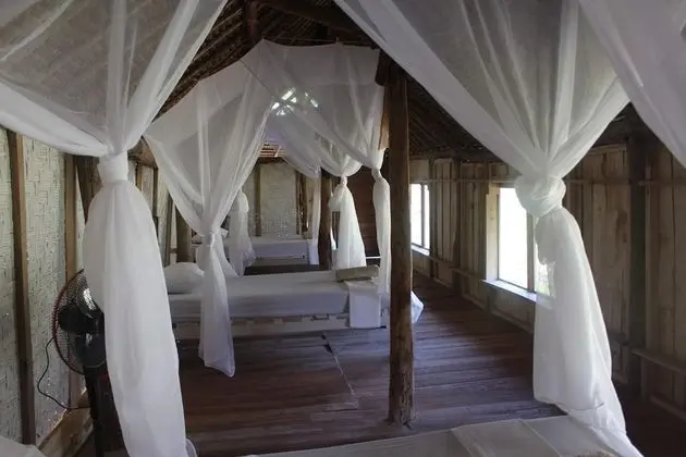 De Chicktoria Hostel and Lounge - Oda