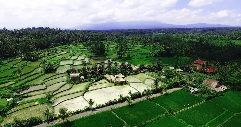 De Klumpu Bali