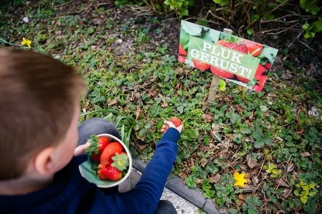 De Vlindertuin Ameland - Dış Mekan