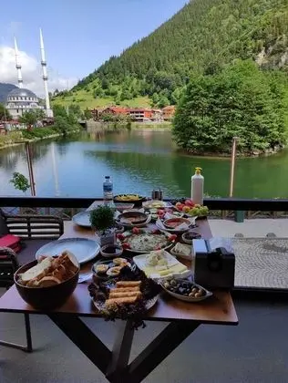 Dear Otel Uzungol - Genel