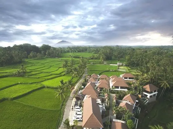 Dedary Kriyamaha Ubud