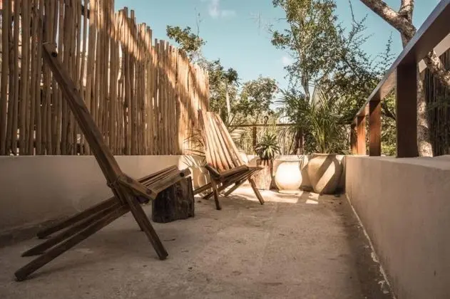 Deep in the Jungle House