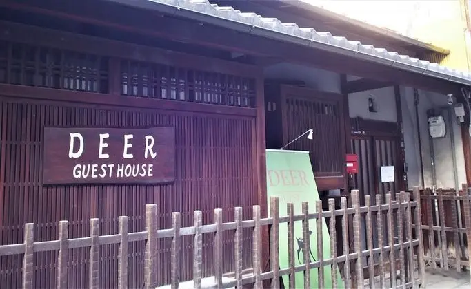 Deer Guesthouse - Hostel