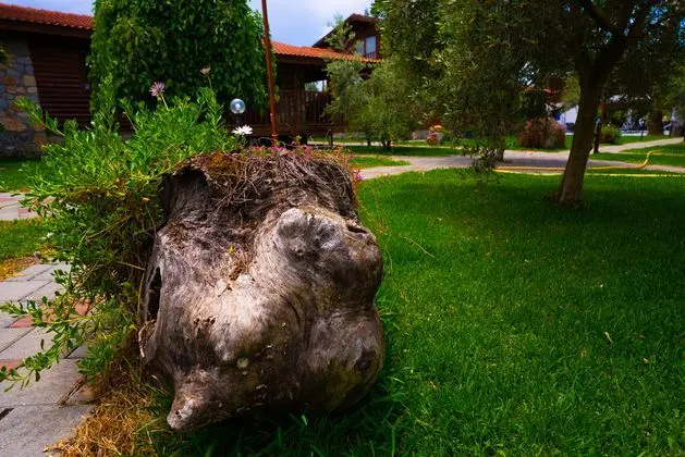 Defne Olive Gardens Hotel Fethiye