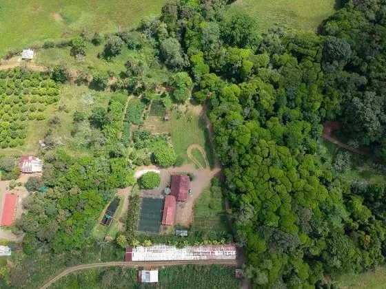 Hotel del Bosque