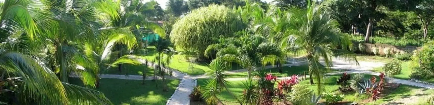 Hotel Villa Del Sol - Dış Mekan