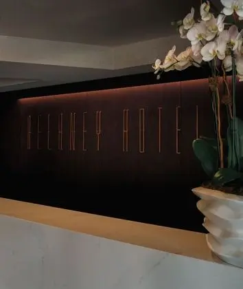 The Delaney Hotel - Lobi