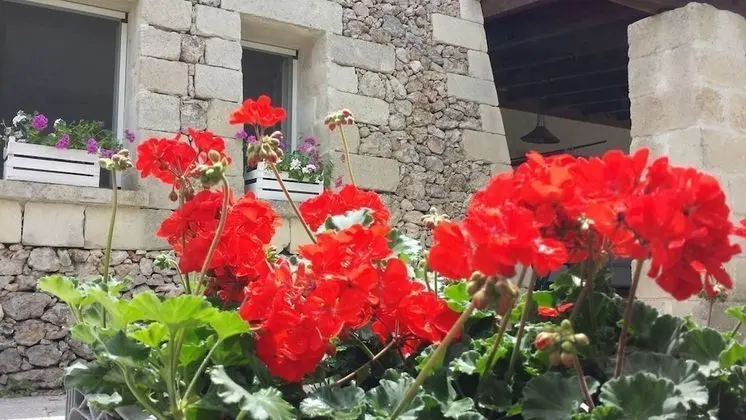 Villa Delfino - Dış Mekan