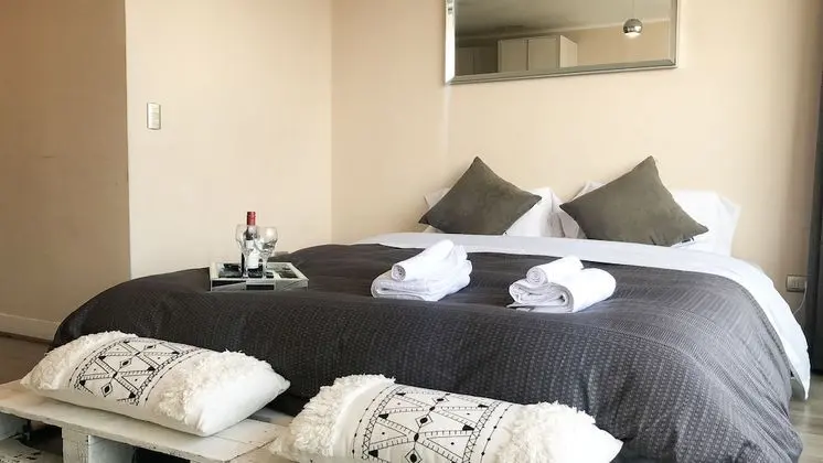 Delightful Downtown Apartment - Oda
