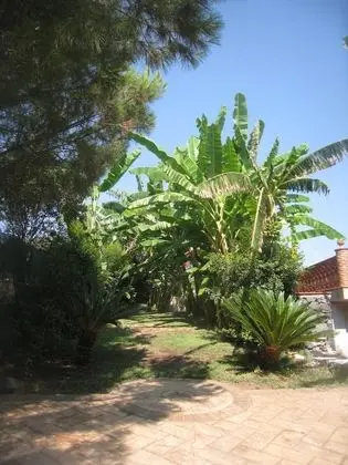 Villa delle Palme - Dış Mekan