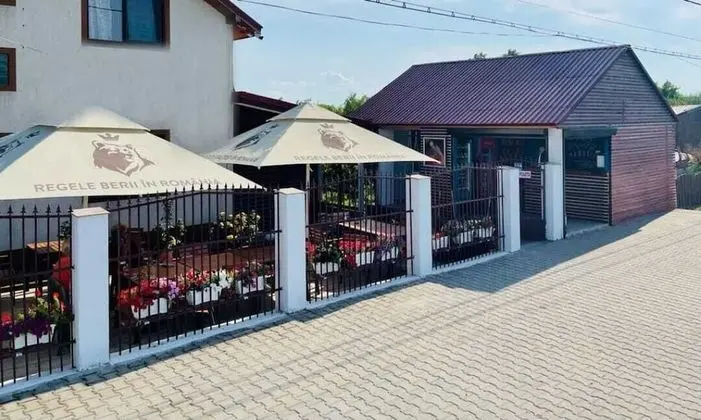 Delta crisan flamingo - Dış Mekan
