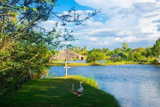 Delta Park