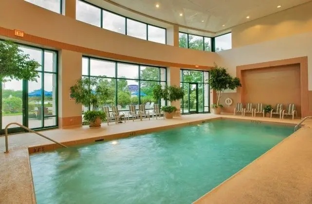 Delta Hotels by Marriott Chicago North Shore Suite - Havuz
