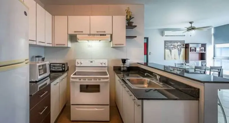 Deluxe Apartment Avenida Balboa - Mutfak
