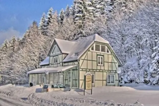 Deluxe Holiday Home in Brilon-Wald near Ski Area