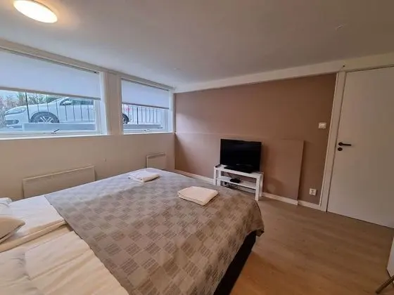 Deluxe Room 4 Rent, King-sized Bed, Near Center