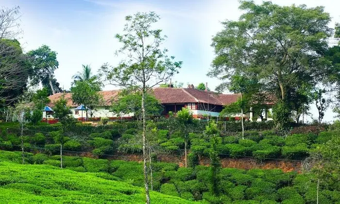 Deluxe Twin Room In British Bungalow