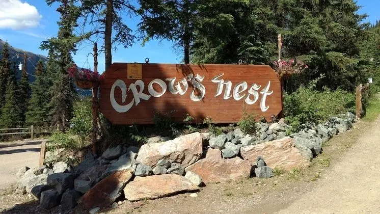 Denali Crow's Nest Cabins - Dış Mekan