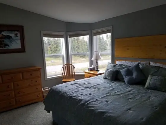 Denali Tri-Valley Cabins - Oda