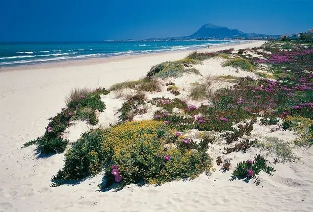 Dénia24 Apart & Hostel Beniarbeig - Plaj