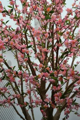 Deniké by Atalaia Hoteles