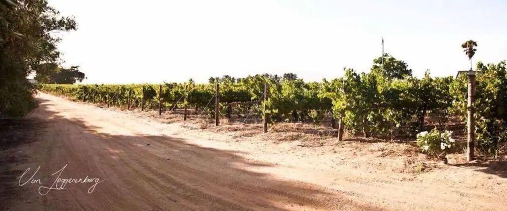 Denneboom Vineyards and Wildlife - Dış Mekan