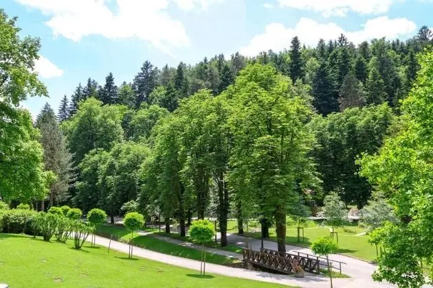 Depandance Vila Higiea - Terme Dobrna - Genel