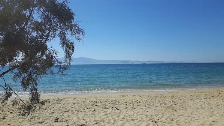 Depis Sea Side Villas - Plaj