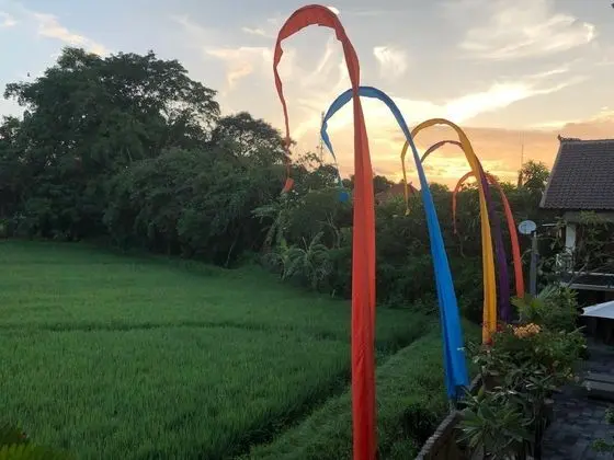 DeRose Guest House Canggu Bali - Dış Mekan