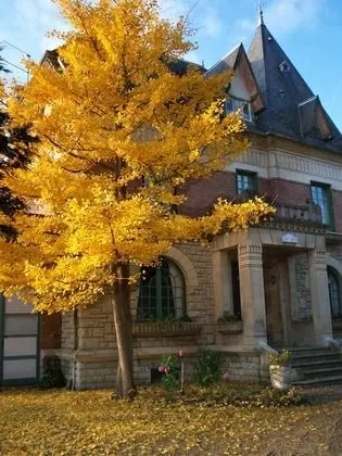 Villa des Iris - Dış Mekan