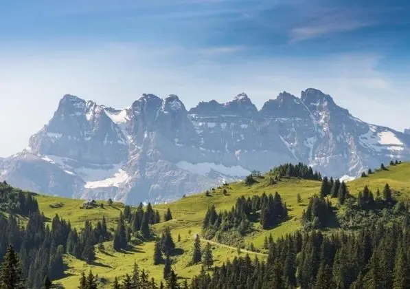 Hotel des Portes du Soleil - Dış Mekan