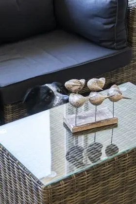 Hotel Des Sables Dor