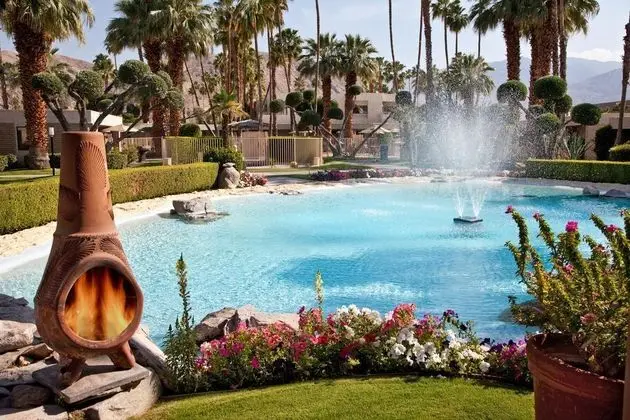 Desert Isle of Palm Springs