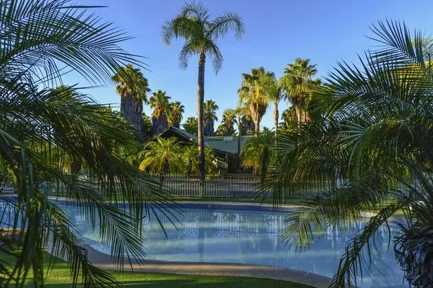 Desert Palms Alice Springs