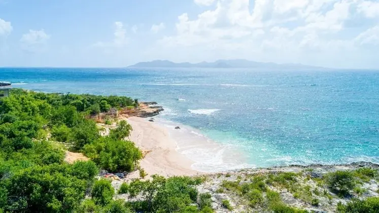 Desiderata Anguilla
