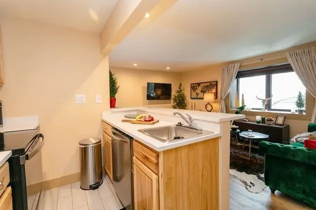 Designer Newly Renovated 1BR in Aspen