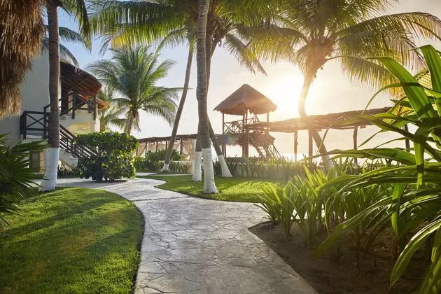 Desire Riviera Maya Resort - Genel