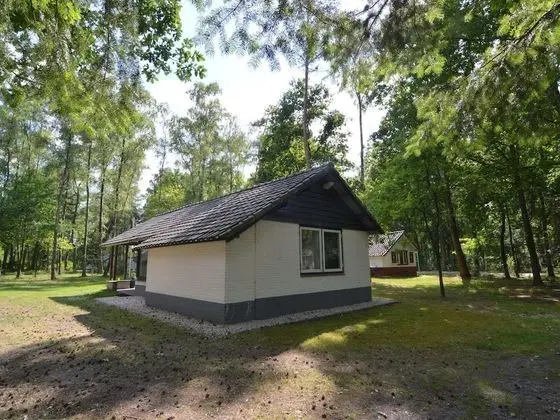 Detached Bungalow With Lovely Covered Terrace in a Nature Rich Holiday Park