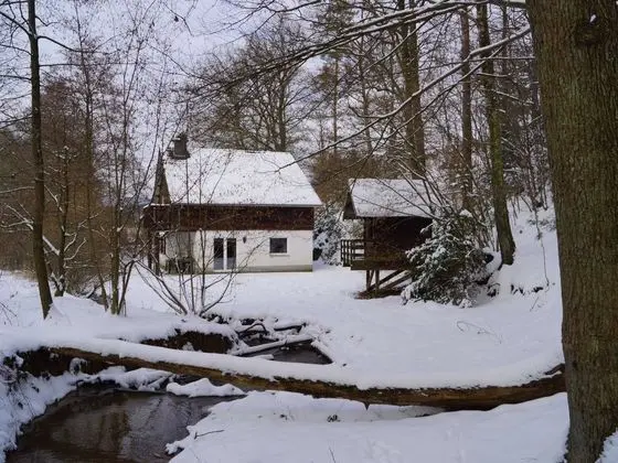Detached, Cosy Holiday Home With Sauna in a Wooded Area - Dış Mekan