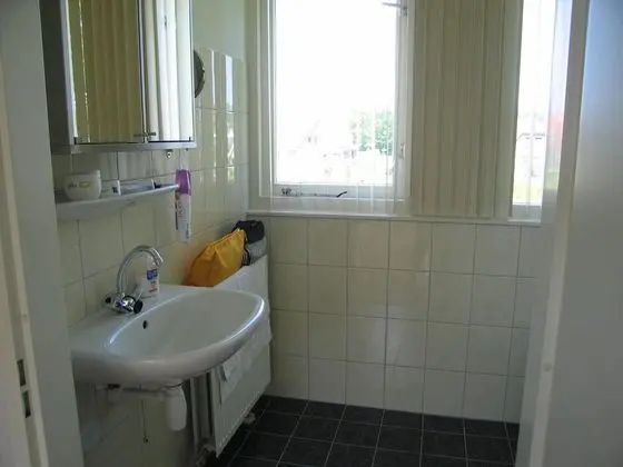 Detached Holiday Home near Grevelingenmeer Lake - Banyo Tipleri