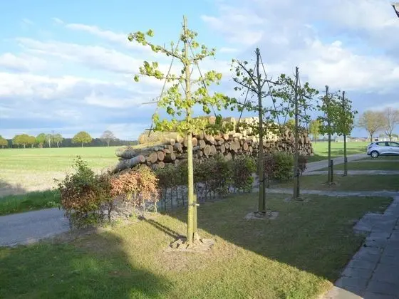 Detached Holiday Home in North Limburg With Enclosed Garden - Dış Mekan