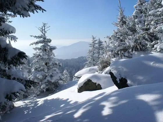 Detached Holiday House in the Bavarian Forest in a Very Tranquil, Sunny Setting - Dış Mekan