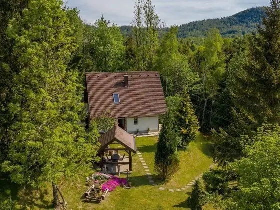 Detached House at 100m Distance of the Lake, Surrounded by Beautiful Nature and With BBQ - Öne Çıkan Resim