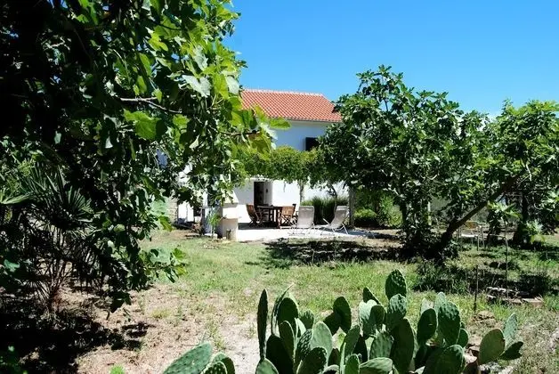 Detached House Miketa - Dış Mekan