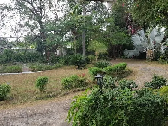 Devon Estate Kingston Jamaica - Dış Mekan
