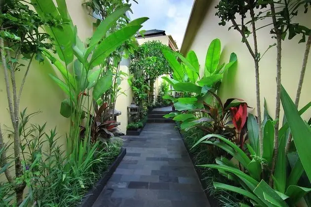 The Dewi Villa Canggu - Dış Mekan