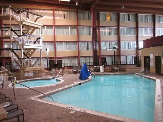 DFW Airport Hotel and Conference Center - Havuz