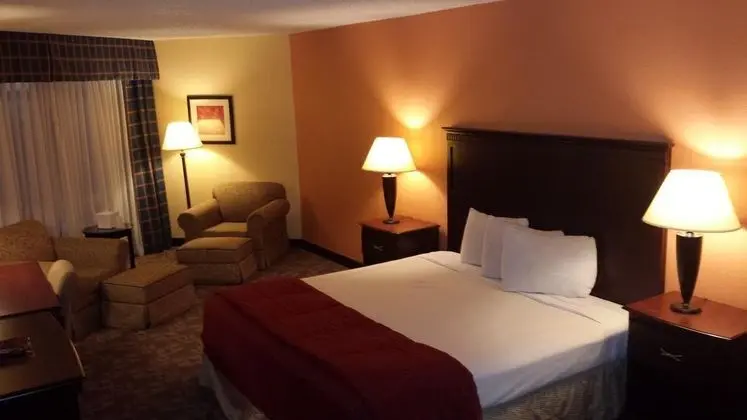 DFW Airport Hotel and Conference Center - Oda