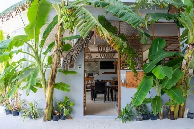Dhiffushi Inn - Dış Mekan