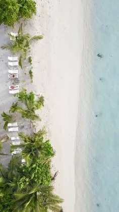 Dhiffushi Inn - Plaj